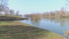 Kupa