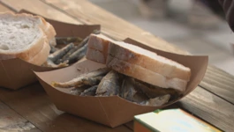 Podjela srdelica u Koprivnici
