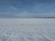 Pšenica pod snijegom, Foto: M.Milas/Radio Osijek