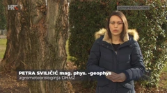 Petra Sviličić