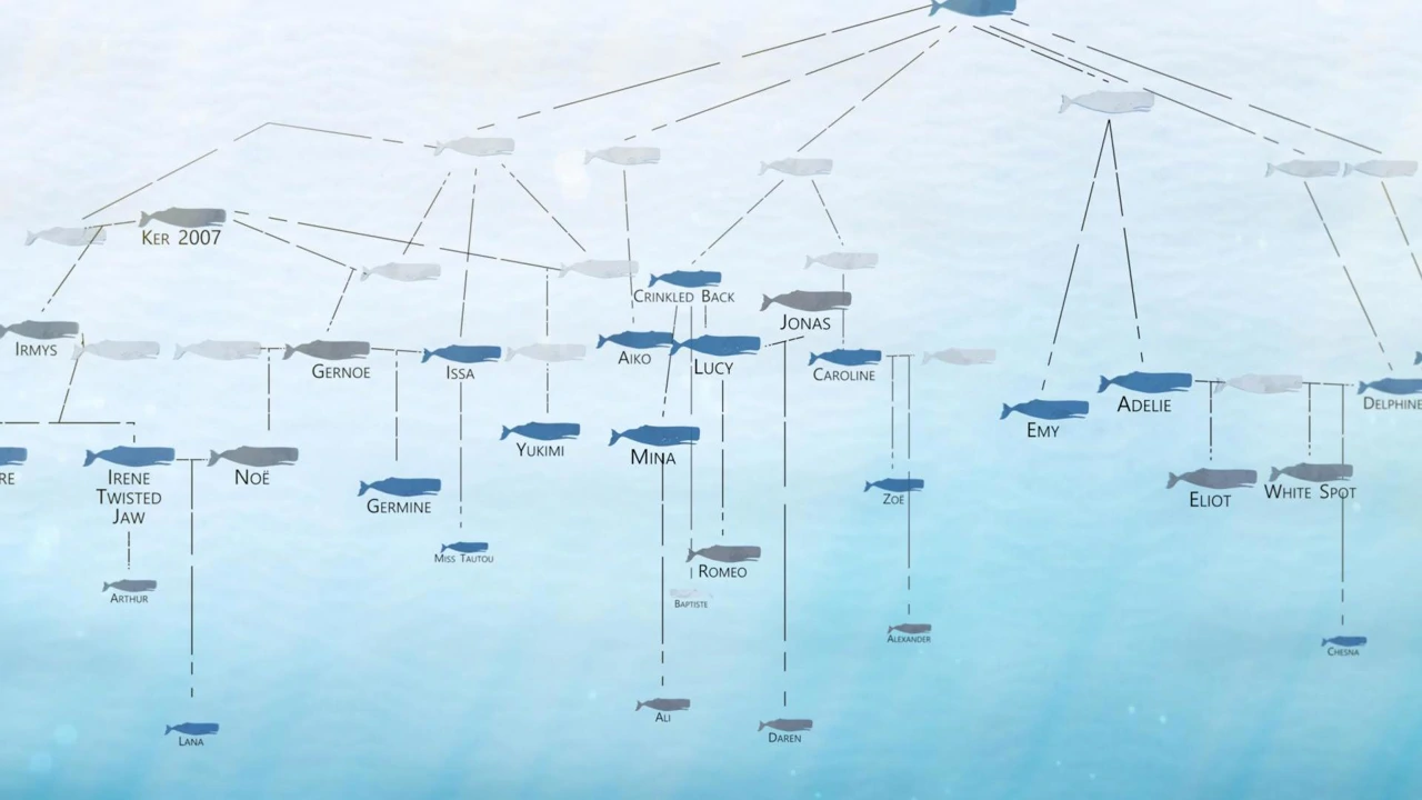 Ponedjeljak, 12. siječnja na Drugom, Foto: Titani mora: Obiteljski odnosi/dokumentarni film