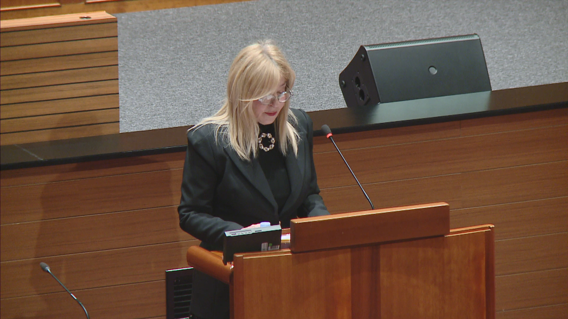 Pravobraniteljica: U 2023. godini 13 posto više prijava povrede prava djeteta