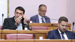 Saborski odbor o radu policije