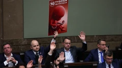 Glasovanje u poljskom parlamentu