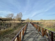 Šetnica prema ulazu, Foto: Ana Mitar Šimić/Radio Osijek