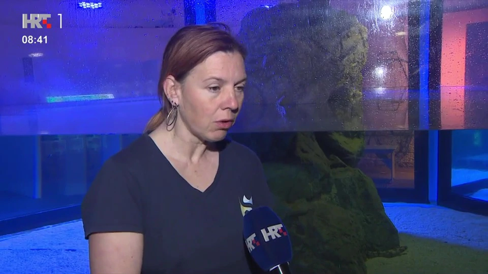 Karin Gobić