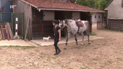 Konji vole društvo, Foto: Plodovi zemlje/HRT