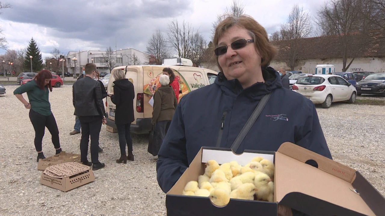 Banovina danas, 17.3.2021., Foto: Dnevnik HTV-a/HRT