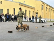 Dan otvorenih vrata Hrvatskog vojnog učilišta, Foto: Boris Kanazir/HRT