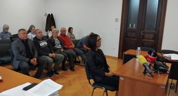 Suđenje Damiru Dekaniću