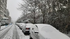 Bravo! Jer ne miču bez vele potrebe!, Foto: Tatjana Sandalj/Radio Rijeka