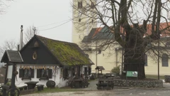 Gupčeva lipa dobila novu zaštitu od pucanja debla