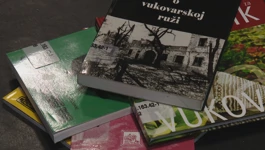 Književnost u Domovinskom ratu
