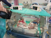 Baby boom u Petrovoj, Foto: Ruža Ištuk/HRT