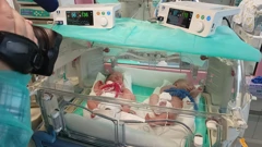 Baby boom u Petrovoj