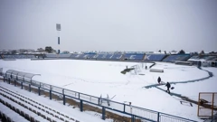 Gradski vrt