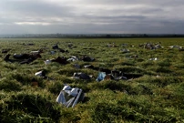 Posljedice razornog tornada u Češkoj , Foto: David W Cerny/Reuters
