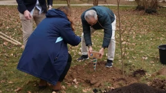 Delegacije Dinama i Betisa zasadile dva stabla u Parku Maksimir