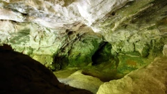 Špilja Vindija