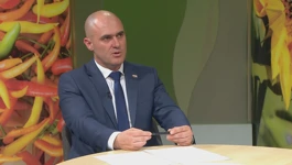 Josip Dabro