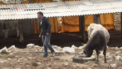 Ivica hrani životinje, Foto: Regionalni dnevnik/HRT