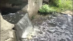 Izvor zagađenja Karašice, Foto: Regionalni dnevnik/HRT