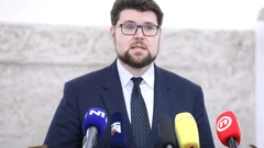 Peđa Grbin