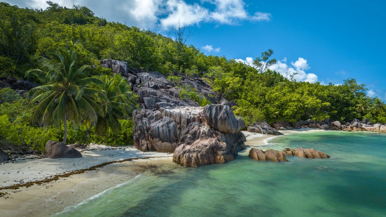 Ponedjeljak, 8. prosinca na Drugom