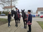 20. pokladno jahanje u Tenji, Foto: M.Milas/Radio Osijek