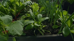 Nedjelja, 5. travnja na Prvom, Foto: Vrtlarica: Uskrs u vrtu/7. sezona emisije