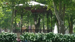 Zrinjevac