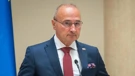 Gordan Grlić Radman