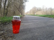 foto Ž.Kovačević, Foto: -/-