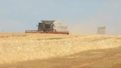  Zlatna polja Slavonije u žetvi 