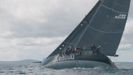 Mrdujska regata