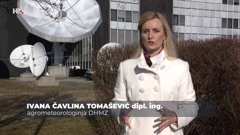 Ivana Čavlina Tomašević