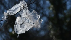 Udruge traže učinkovitije propise protiv zagađenja jednokratnom plastikom