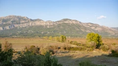 Konavle