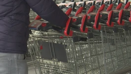 Praćenje cijena 80 proizvoda