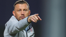 Hrvatska - Ukrajina. Ivica Olić