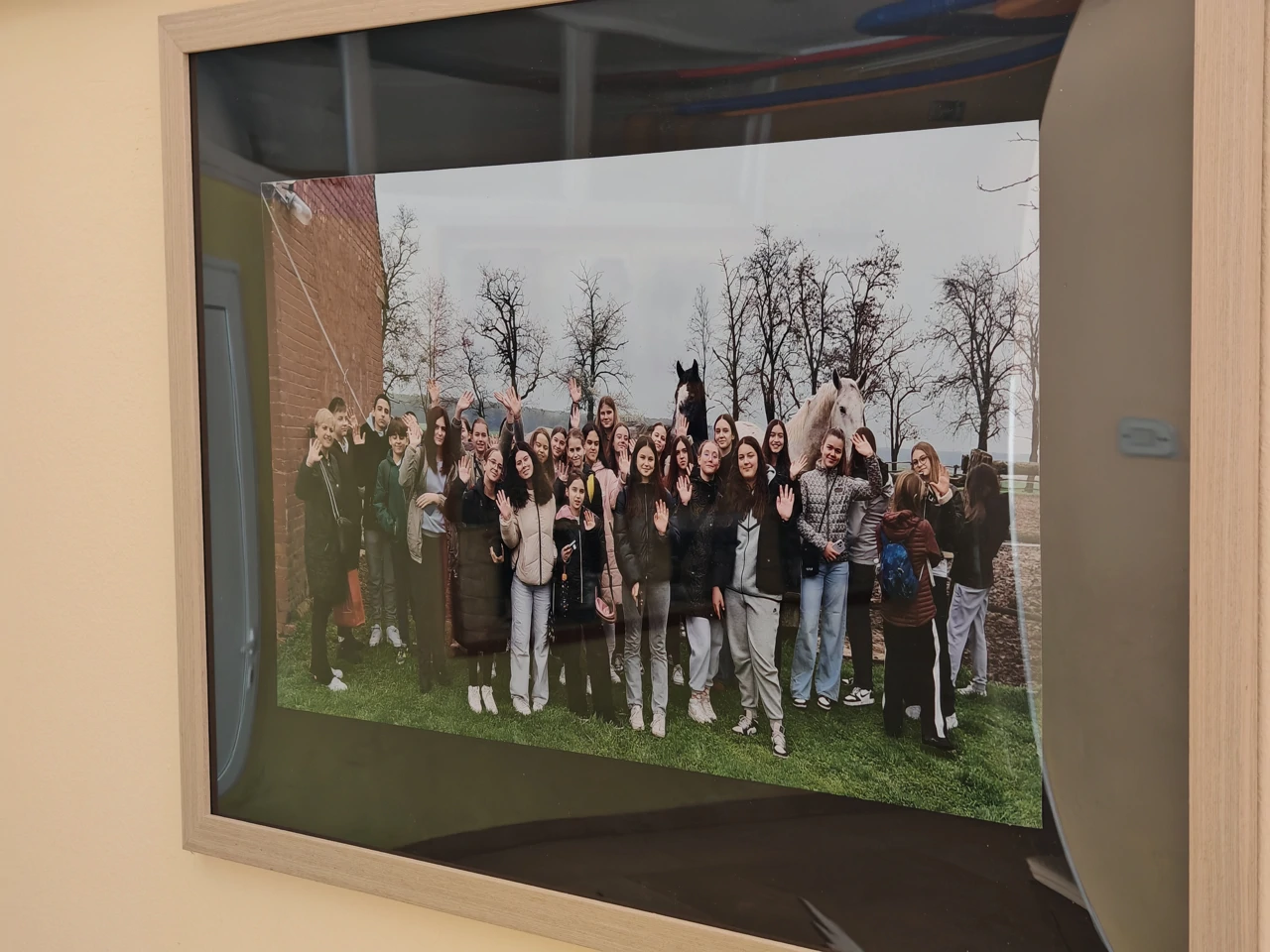 "Gizdavo je blago slavonsko..., konji sivci, dorati i vrani!", Foto: Krunoslav Inhof/HRT Radio Osijek