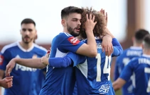 Slavlje igrača Dinama nakon gola Ljubičića, Foto: Marko Prpić/PIXSELL