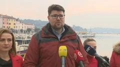 Peđa Grbin