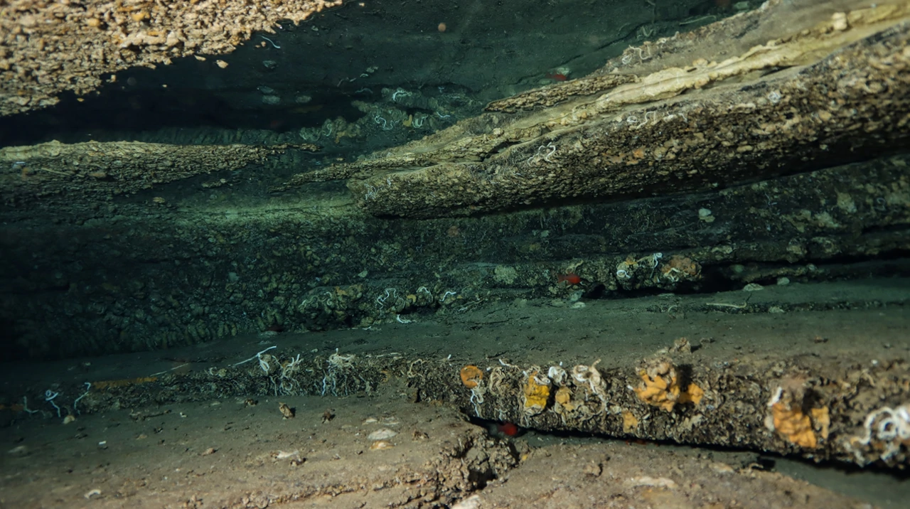 Dno jabučke kotline, Foto: -/Institut Ruđer Bošković