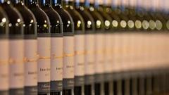 Sve spremno za Vinistru