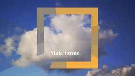 Male forme HR3