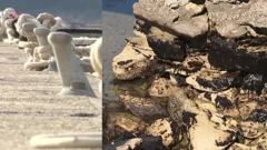 Kako je mali Trget, lošu priču pretvorio u nešto dobro  