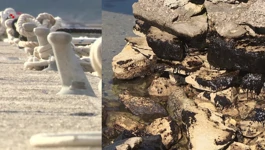 Kako je mali Trget, lošu priču pretvorio u nešto dobro  