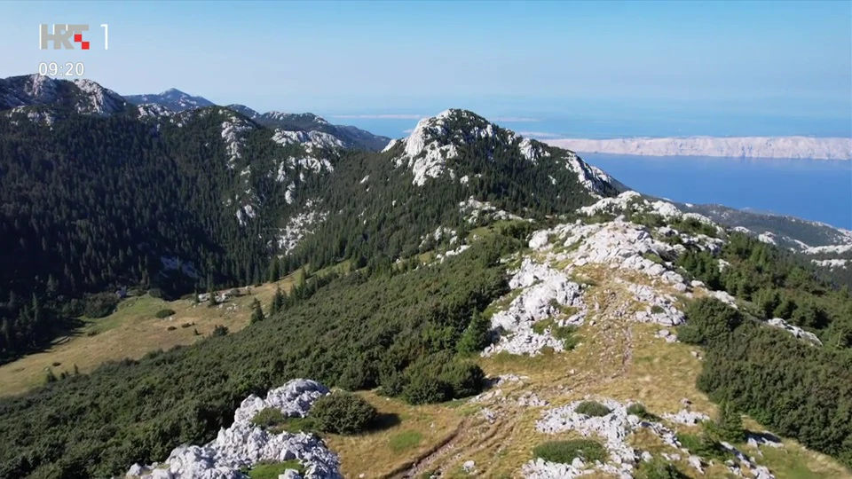 Pogled na planine