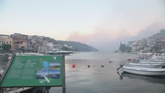 Požar kod Zatona, Foto: HTV/HRT